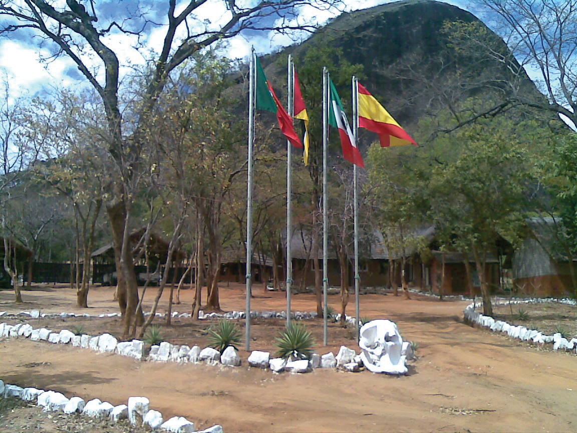 flags