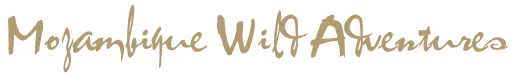 mozambiquewild